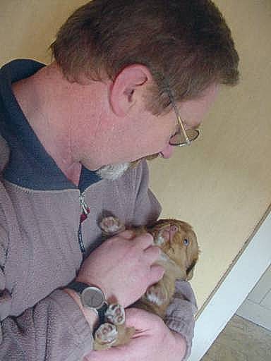 judalspup.jpg