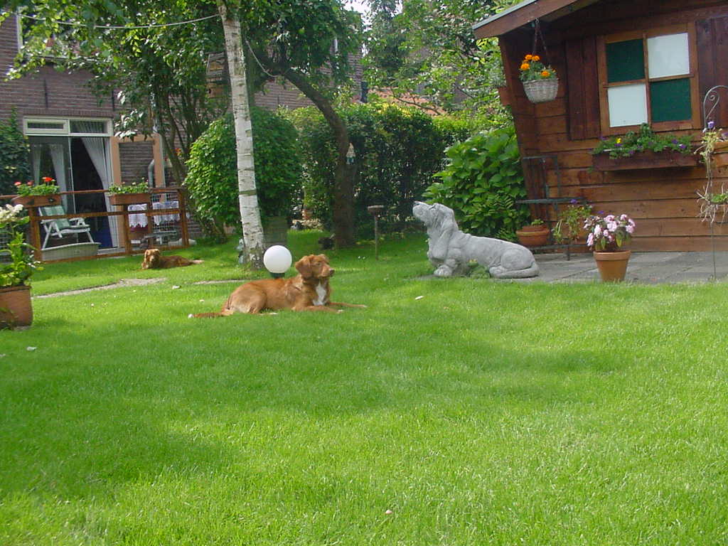 tuinmettollertjes.jpg